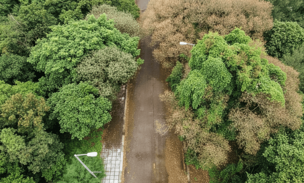 3.9. Ky Con Walking Street